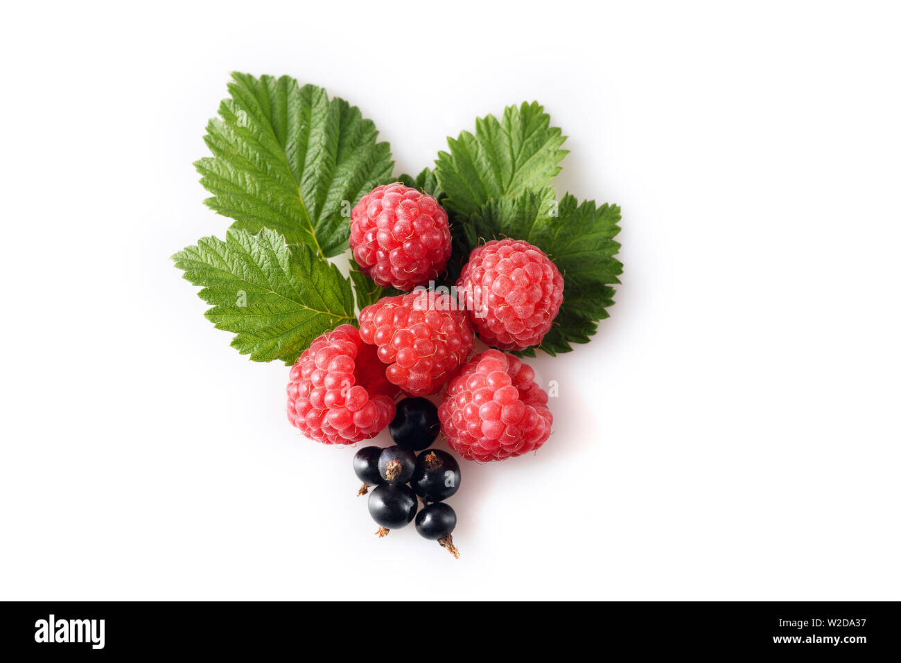 Verschiedene frische Beeren auf weißem Hintergrund Stockfoto