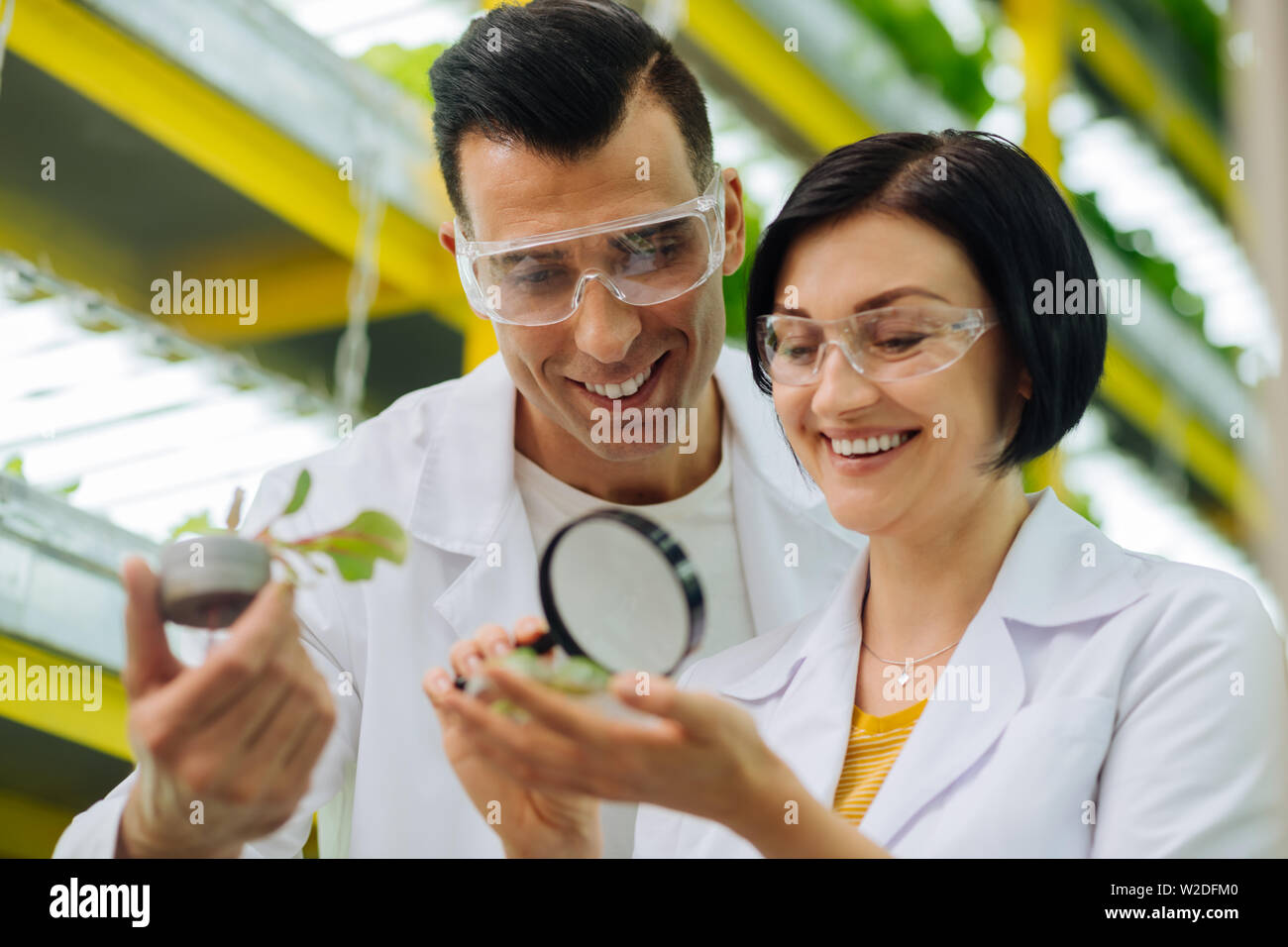 Paar Feldarbeiter lächelnd, während arbeiten zusammen Stockfoto