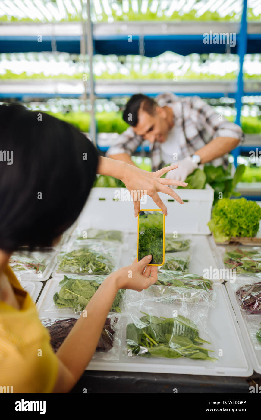 Frau mit Smartphone während Foto von Kopfsalat Stockfoto