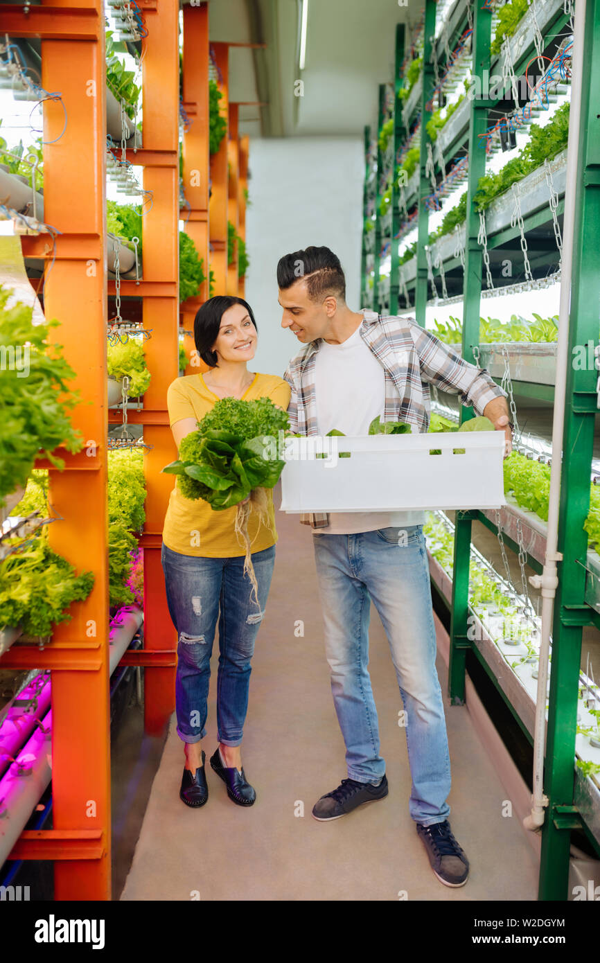 Mann und Frau Gefühl glücklich nach wachsenden Salat im Gewächshaus Stockfoto