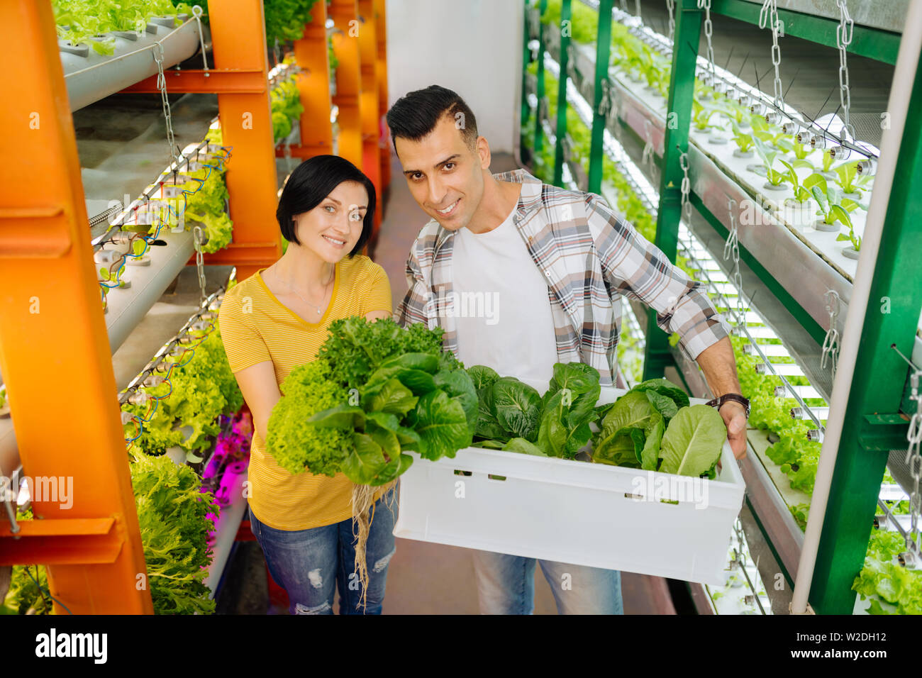 Glückliche Bauern stehen zwischen die Regale im Gewächshaus Stockfoto