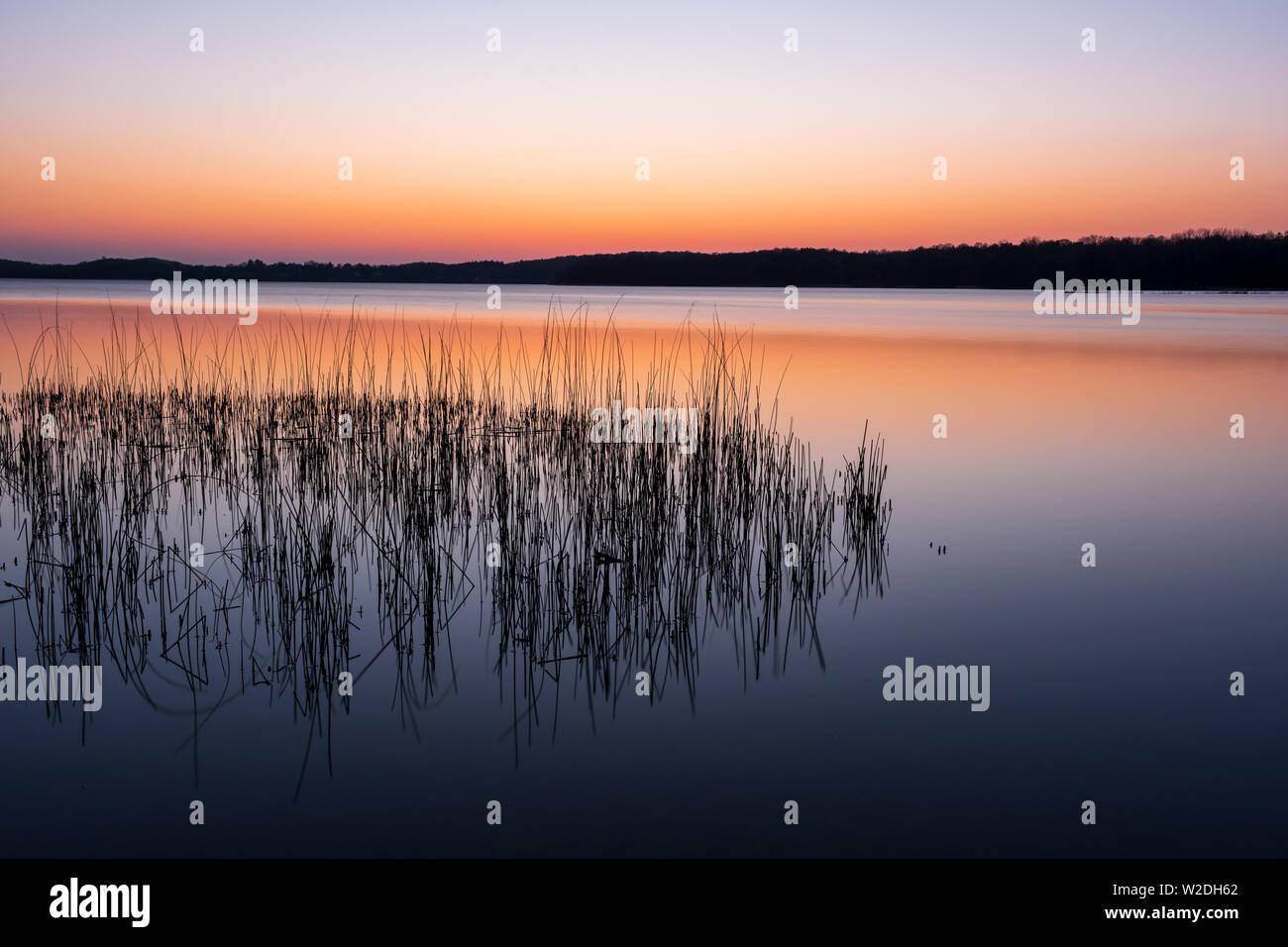 Friedlichen und farbenfrohen Sonnenuntergang über dem See Kellersee mit Reed im Vordergrund, Schleswig-Holstein Norddeutschland Stockfoto