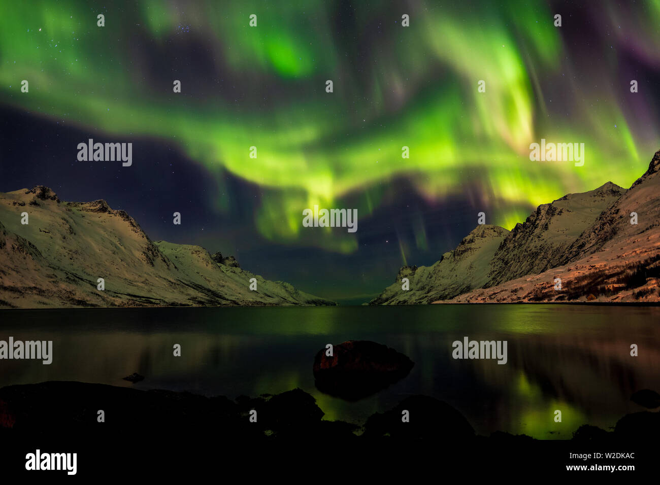 Wunderschöne grüne Nordlichter Aurora über Ersfjord, Tromsö, Norwegen Borealis Stockfoto