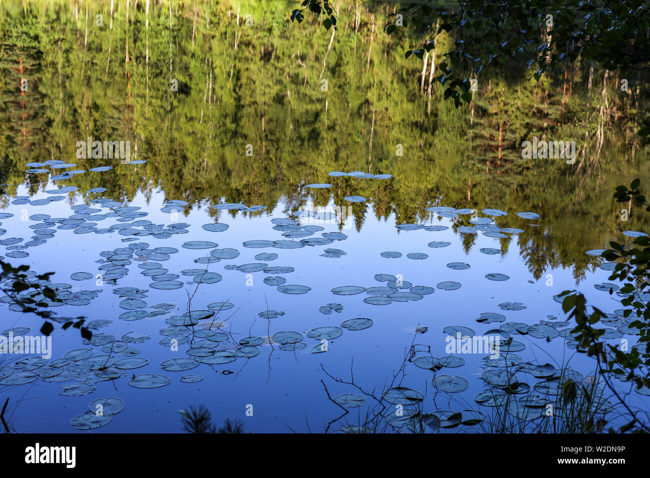 Reflexion über Piilolammi - Ein kleiner See - in Hyvinkää, Finnland Stockfoto