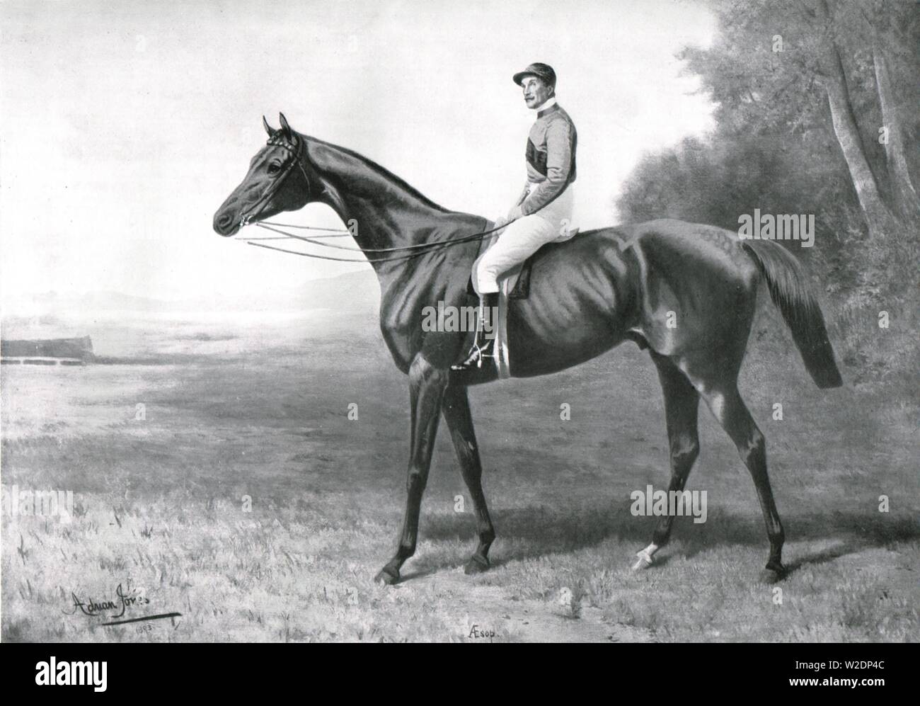 'Aesop', 1911. Schöpfer: Adrian Jones. Stockfoto