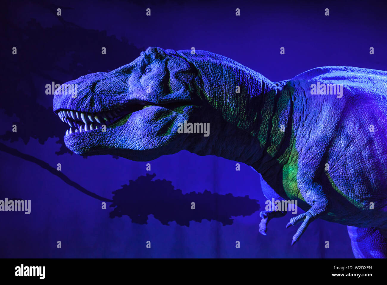 London, Großbritannien - 21 Dezember, 2018: Animierte T-Rex am Natural History Museum, London, Vereinigtes Königreich. Stockfoto