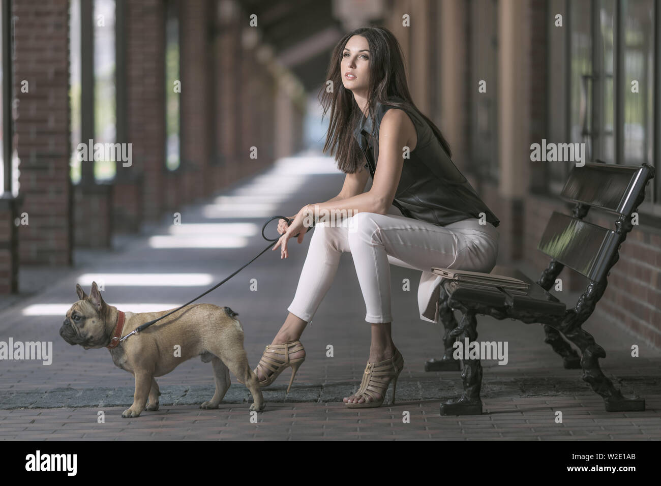 Junge schöne Brünette Frau sitzt mit Hund auf retro Sitzbank Stockfoto