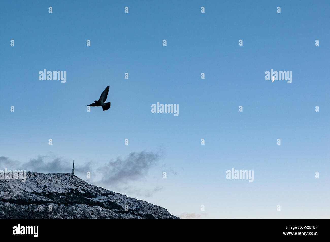 Eine Taube über einen blauen Himmel fliegen mit Ulriken im Hintergrund und einer cresent Moon montieren. Stockfoto
