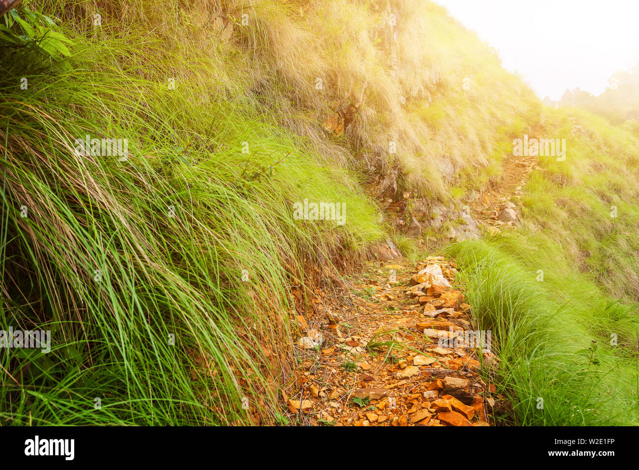 Schönen weg Landschaft in den Bergen, Annapurna Region, Nepal Stockfoto Schönen weg Landschaft in den Bergen, Annapurna Region, Nepal Stockfoto