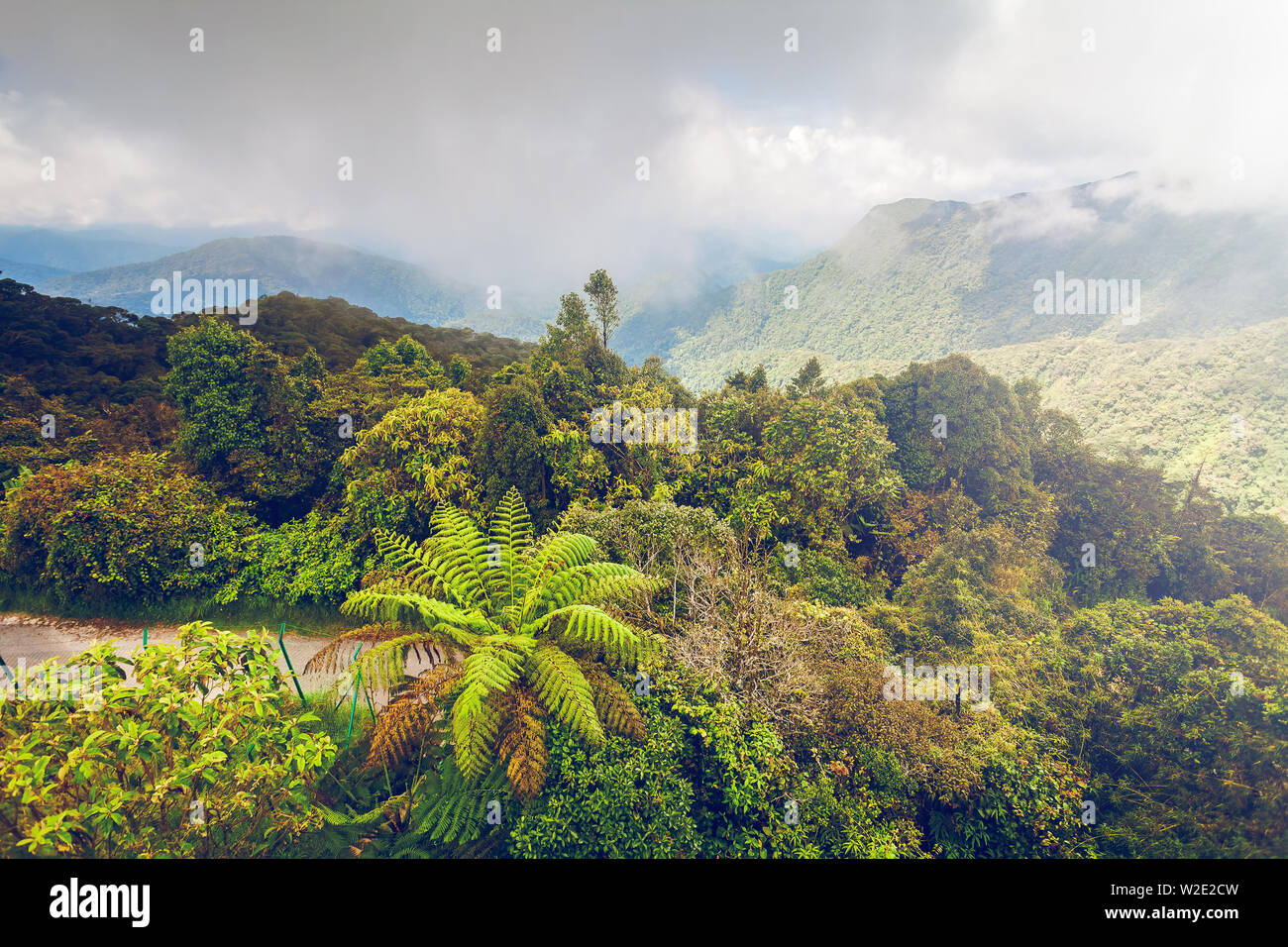 Schöne Berge Landschaft in Cameron Highlands, Malaysia Stockfoto