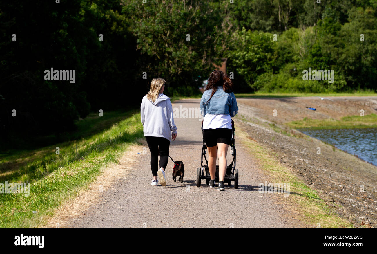 Tayside, Dundee, Schottland, Großbritannien. 8. Juli, 2019. UK Wetter: Die heissen, sonnigen Wetter zieht Hund Wanderer auf Clatto Country Park in Dundee, Großbritannien. Stockfoto