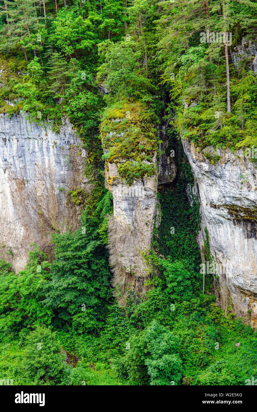 Saint-Geotrges-de-Levejac, Gemeinde Gorges du Tarn, Departement Lozère, Royal, Frankreich. Stockfoto