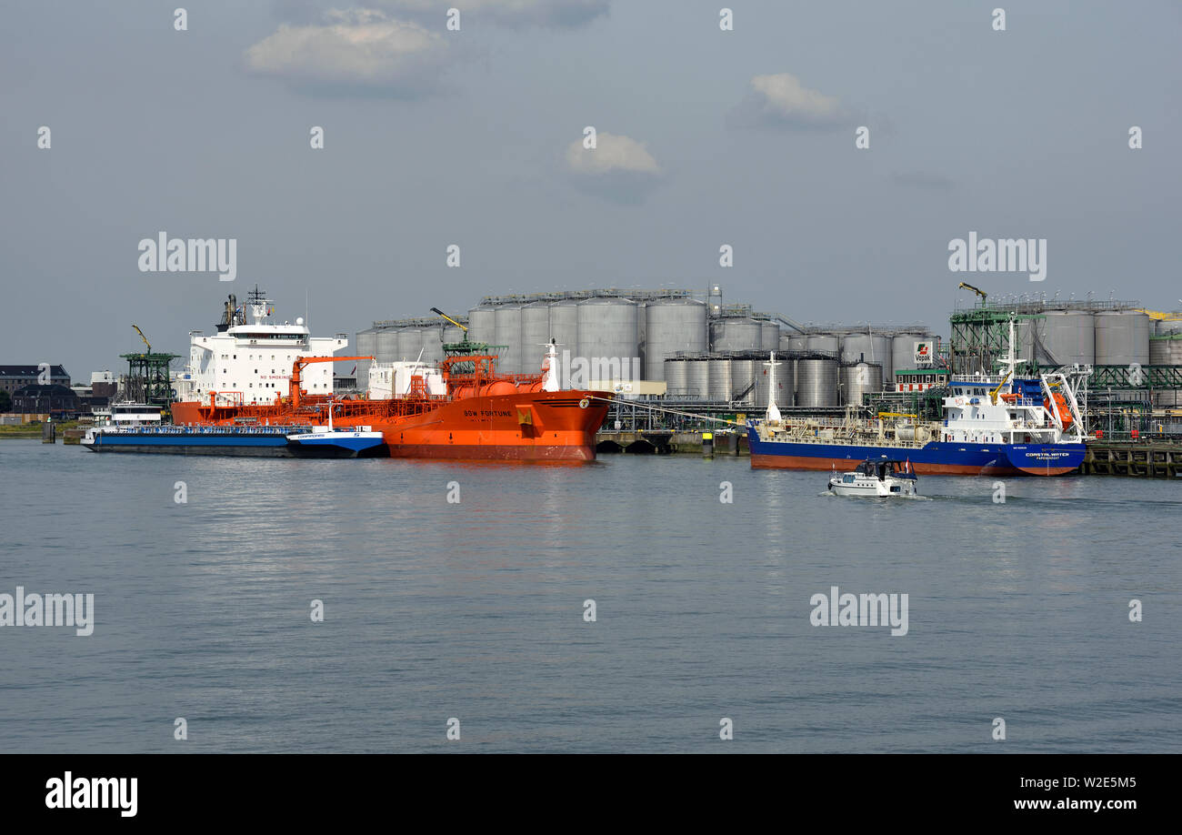 Der Hafen von Rotterdam Zuid Holland/Niederlande - August 01, 2018: Paket Tankwagen be- und entladen Pflanzenöl Produkte bei Vopak Terminal vlaardi Stockfoto