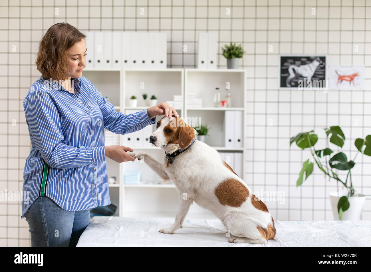 Der Besitzer des Hundes bei einem Empfang in einer Tierklinik. Stockfoto