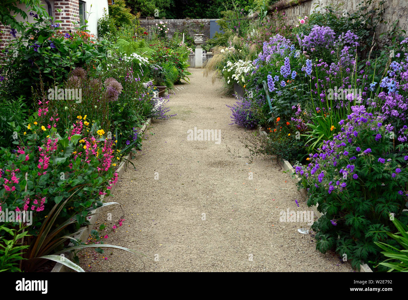 Die Dillon Garten, Helen Dillon, Plantswoman, Dun Mhuire, Seafield Ave, Monkstown, Dublin, Irland Doppel Staudenbeet, Stauden, üppige Bepflanzung Stockfoto