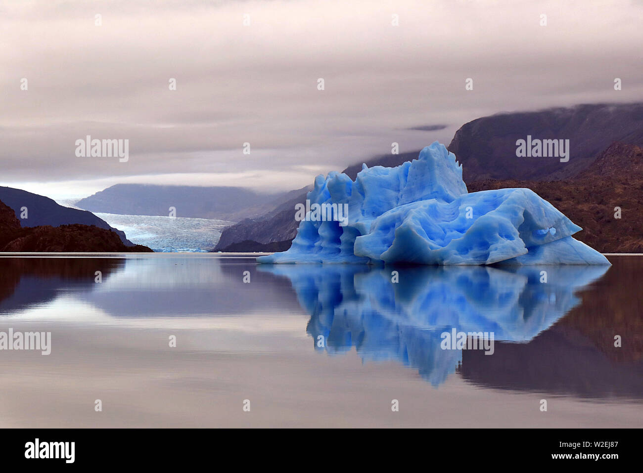 Eisberge im Lago Grey in den Torres del Paine Nationalpark, im chilenischen Patagonien Stockfoto