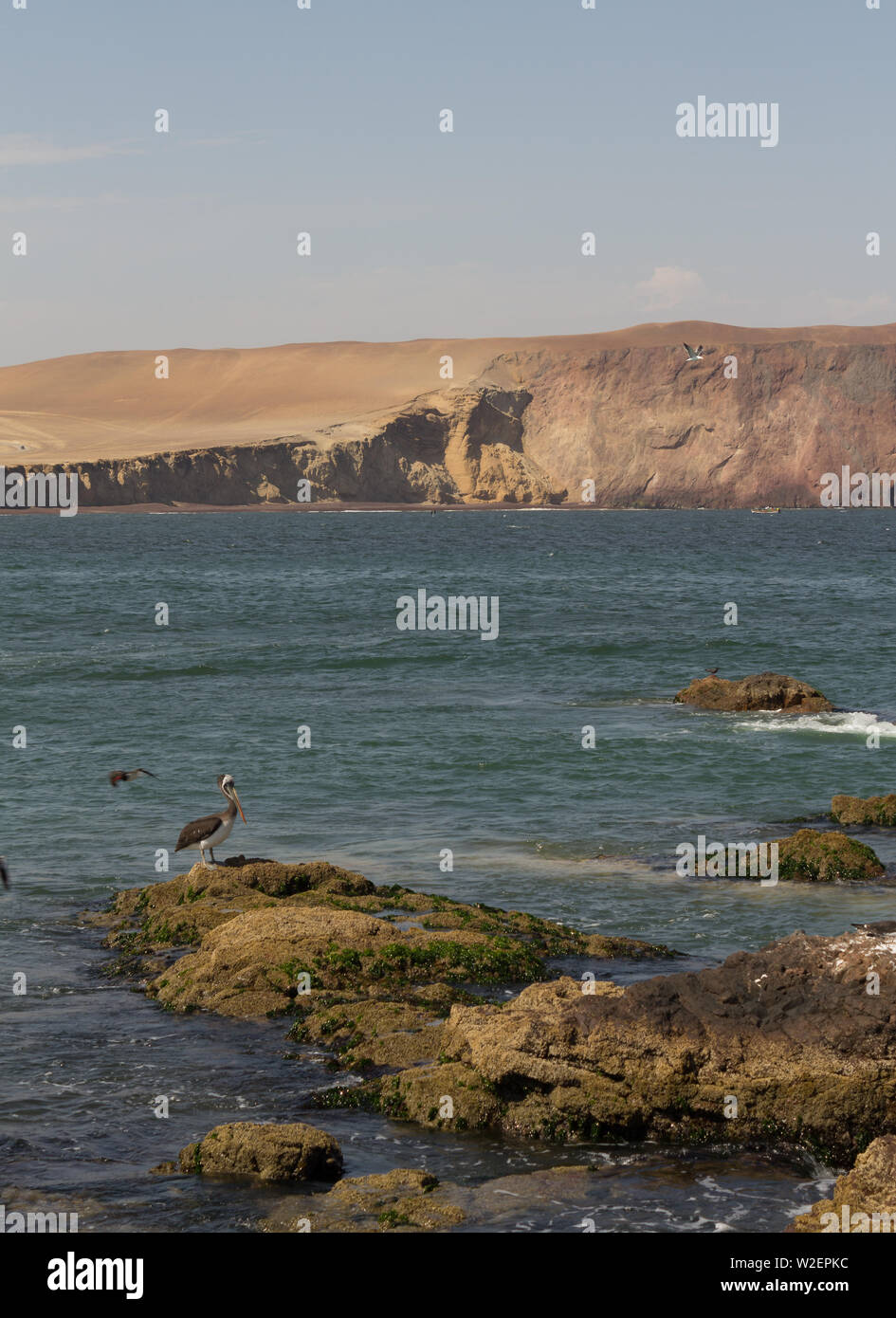 Blick auf das Meer in der paracas National Reserve Stockfoto