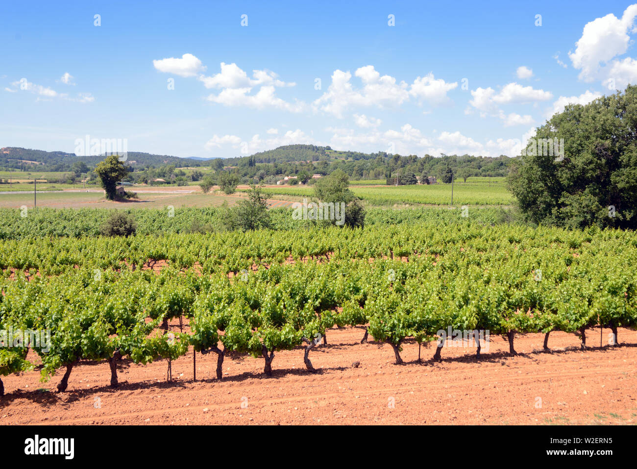 Côtes-du-Luberon Weinberge oder Weinberge in der Calavon Tal Bonnieux Luberon Provence Frankreich Stockfoto