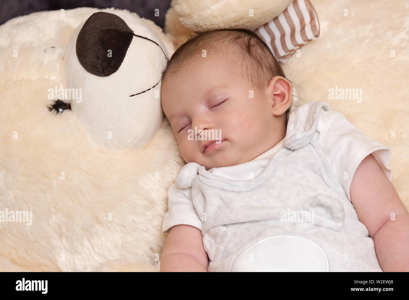Friedliche Neugeborene schlafen mit riesigen Flauschigen Teddybär Stockfoto