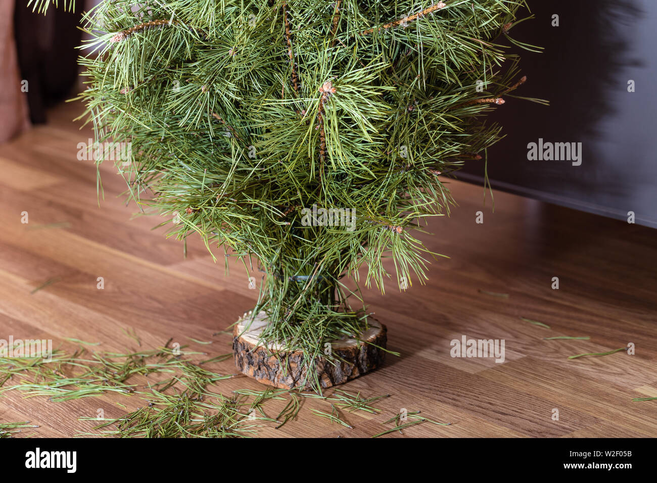 Weihnachtsbaum steht auf dem Boden unter den Müll der Nadeln. Stockfoto