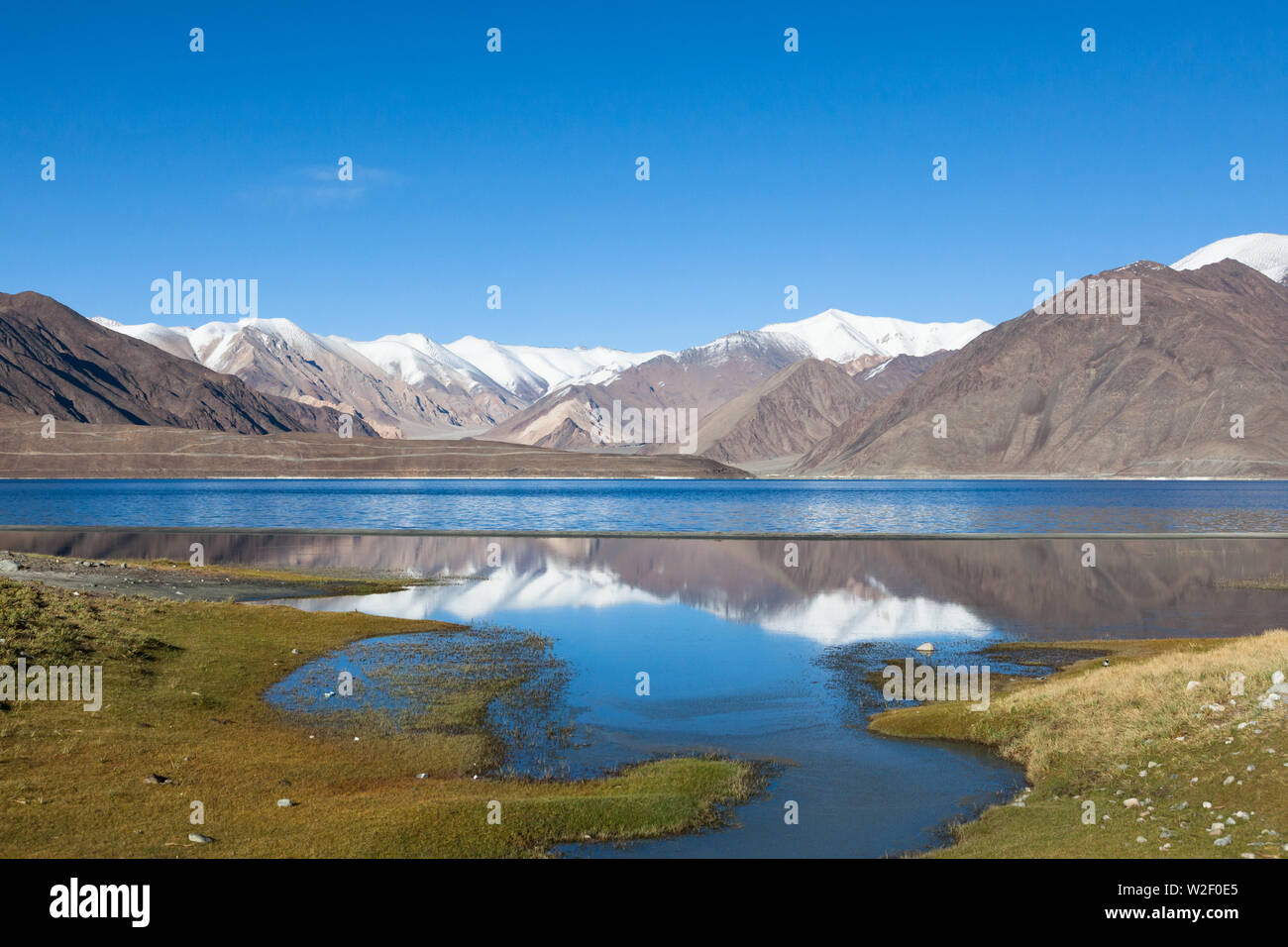 Landschaft mit Bergen im Wasser der Pangong Tso (pangong See), Ladakh, Indien widerspiegelt Stockfoto