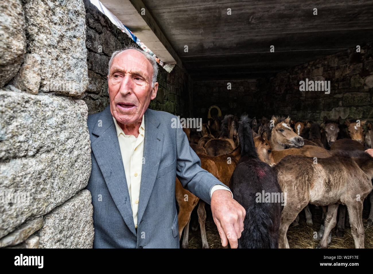 Alte Dorfbewohner mit fouls Sparated von ihren Müttern Rapa das Bestas, Sabucedo, galica Spanien Stockfoto