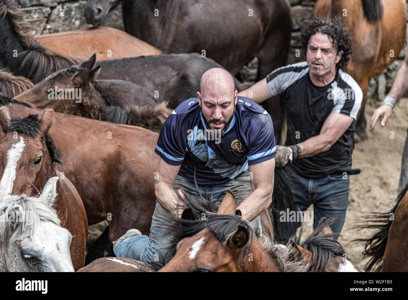 Rapa das Bestas, Sabucedo, galica Spanien Stockfoto
