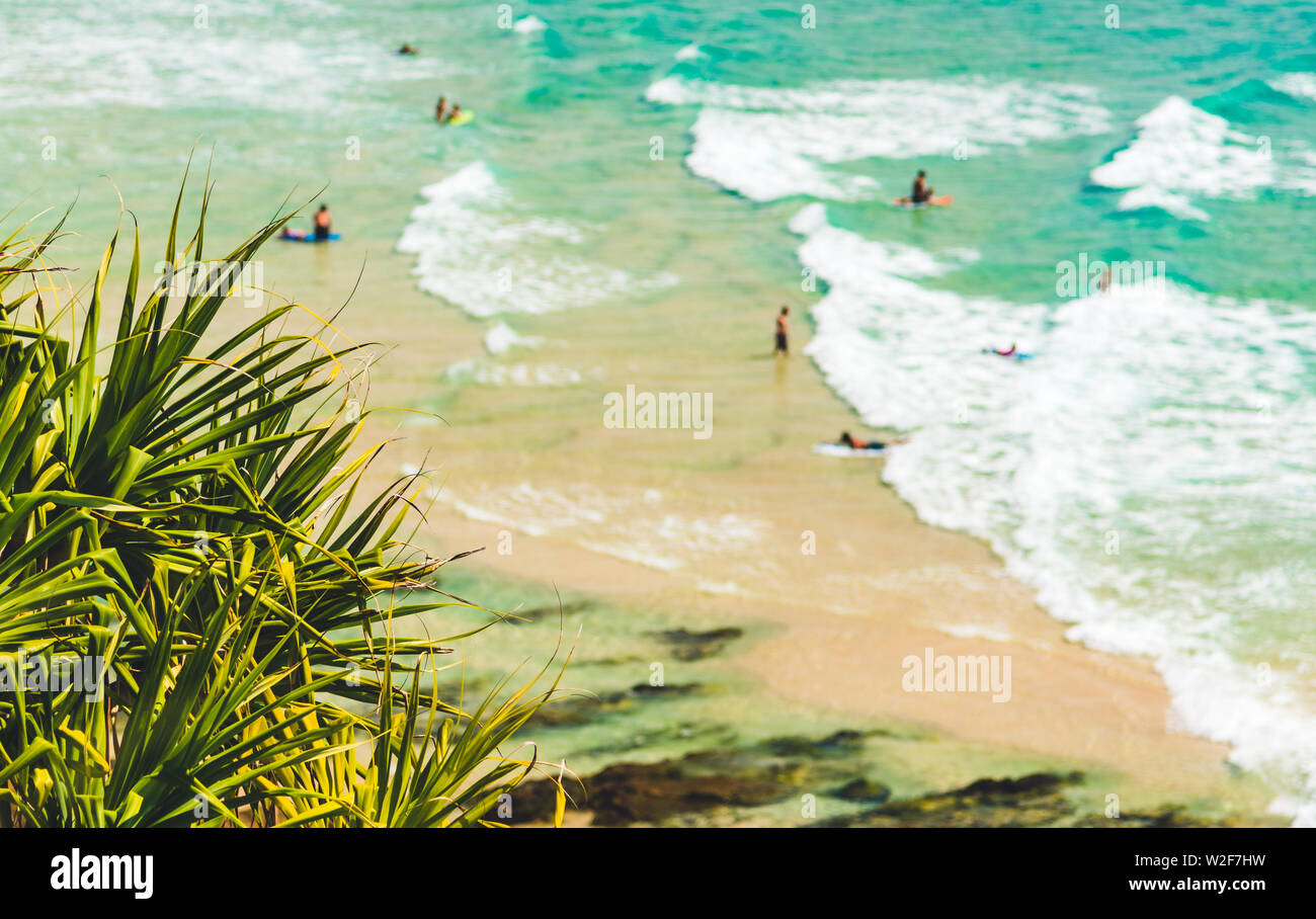 Kirra Beach an der Gold Coast in Queensland, Australien Ab dem kirra Lookout gesehen Stockfoto