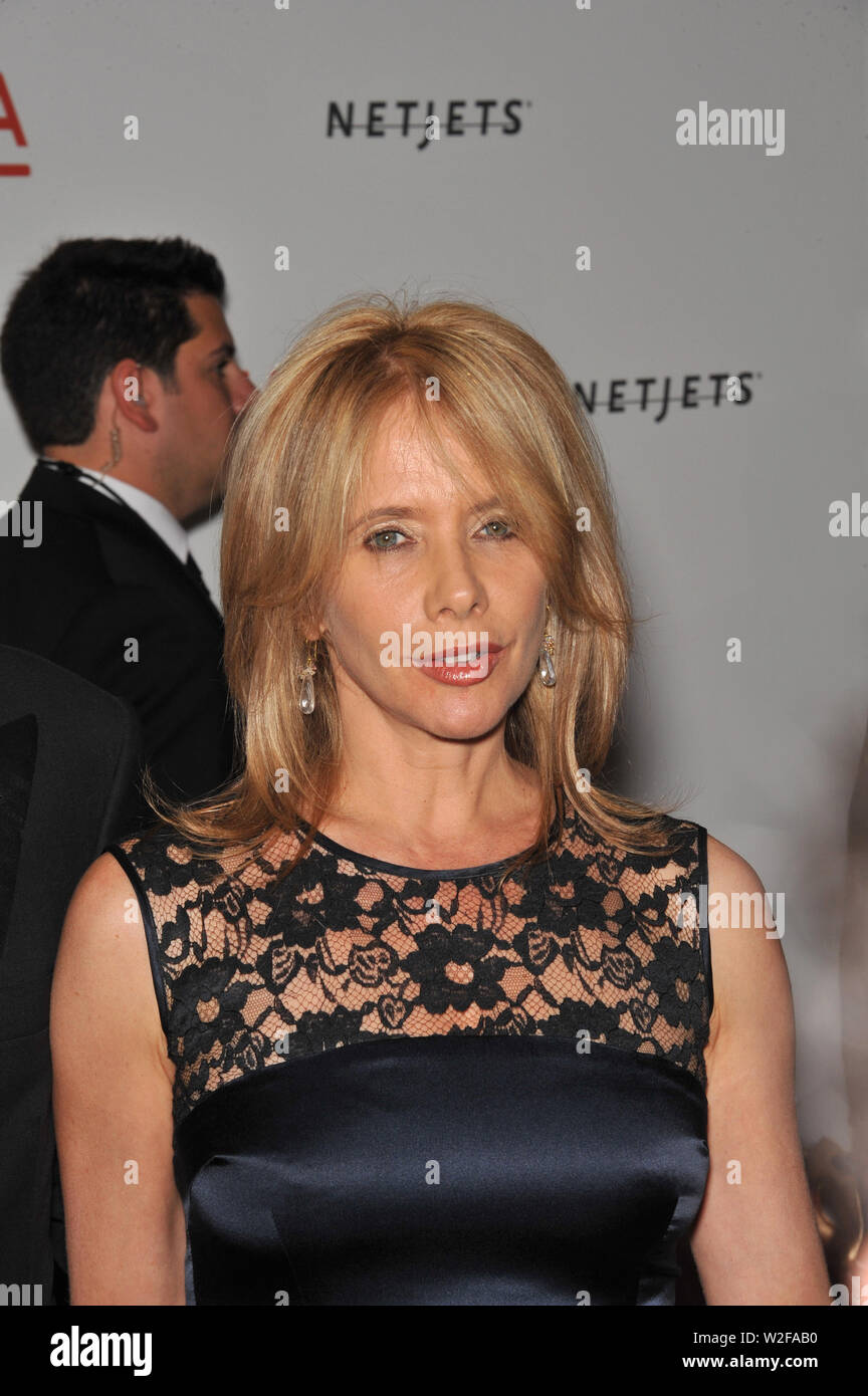 LOS ANGELES, Ca. September 25, 2010: Rosanna Arquette an eine Benefiz-gala im Los Angeles County Museum für Kunst (LACMA) an die offizielle "Entlarvung" der neueste Gebäude des Museums feiern, Lynda und Stewart Resnick Ausstellungspavillon. © 2010 Paul Smith/Featureflash Stockfoto