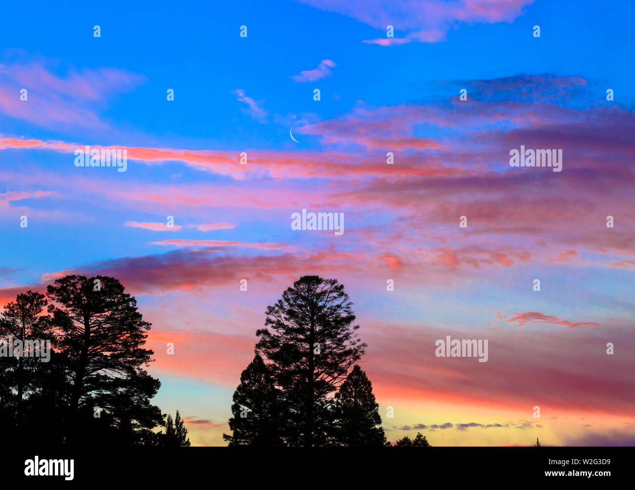 Crescent Moon bei Sonnenaufgang in der Nähe von Avon, Montana Stockfoto