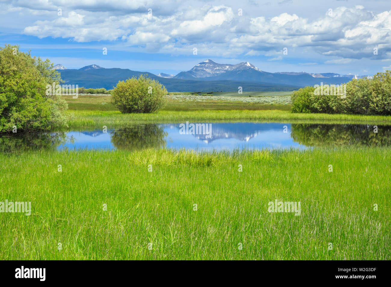 Ziege Berg der anaconda Range in einem Feuchtgebiet in der Big Hole Valley in der Nähe von Weisheit widerspiegeln, Montana Stockfoto