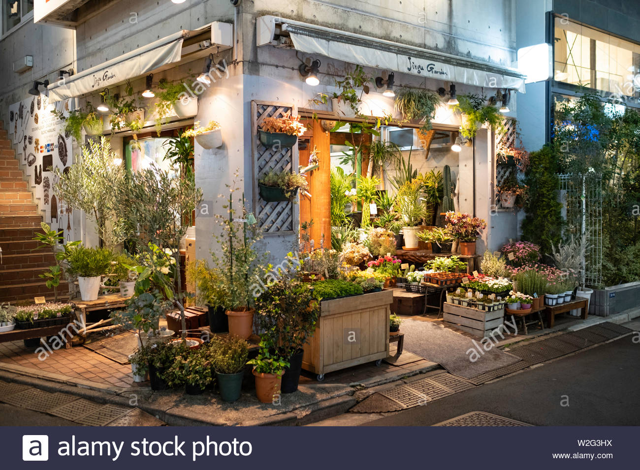 Tokyo Japan Flowers Shop Stockfotos Tokyo Japan Flowers Shop