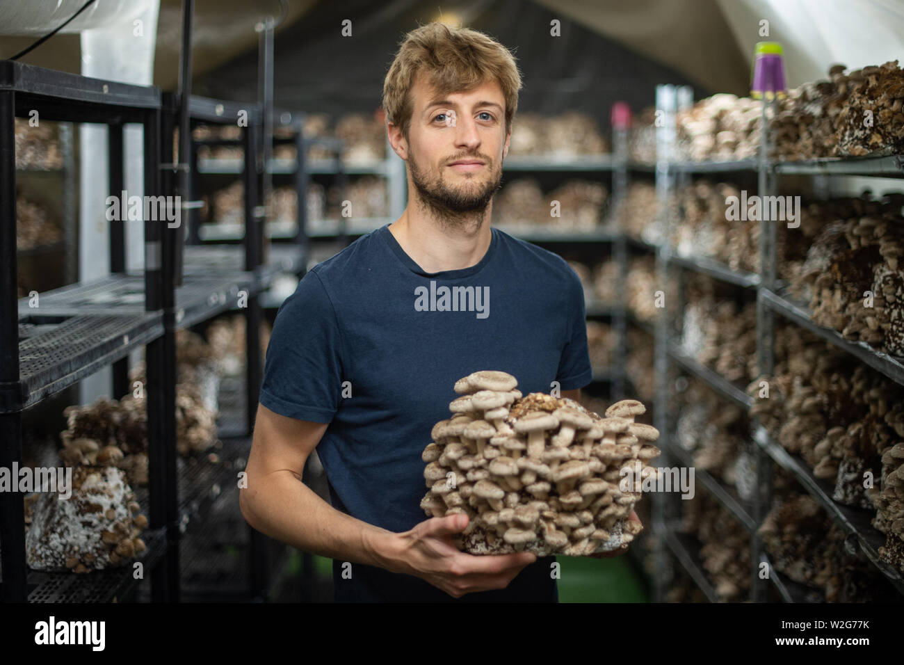 25. Juni 2019, Belgien, Brüssel: Hadrien Velge, Gründer und Geschäftsführer von "Le Champignon de Bruxelles", steht in einem Korridor von seinem unterirdischen Pilzfarm im Brüsseler Stadtteil von Anderlecht. Ihre gourmet Pilze wachsen auf Ökologische Abfallwirtschaft, die in der Stadt bezogen werden. (Dpa' Gourmet Pilze aus unterirdischen Hallen") Foto: Arne Immanuel Bänsch/dpa Stockfoto