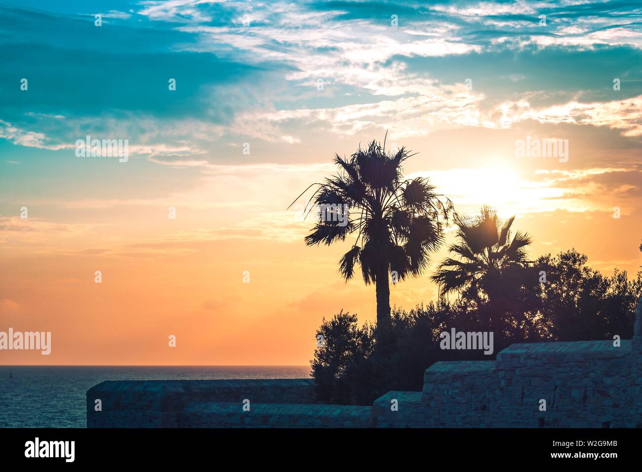 Palmen unter den Strahlen der bunten Sonnenuntergang. Stockfoto
