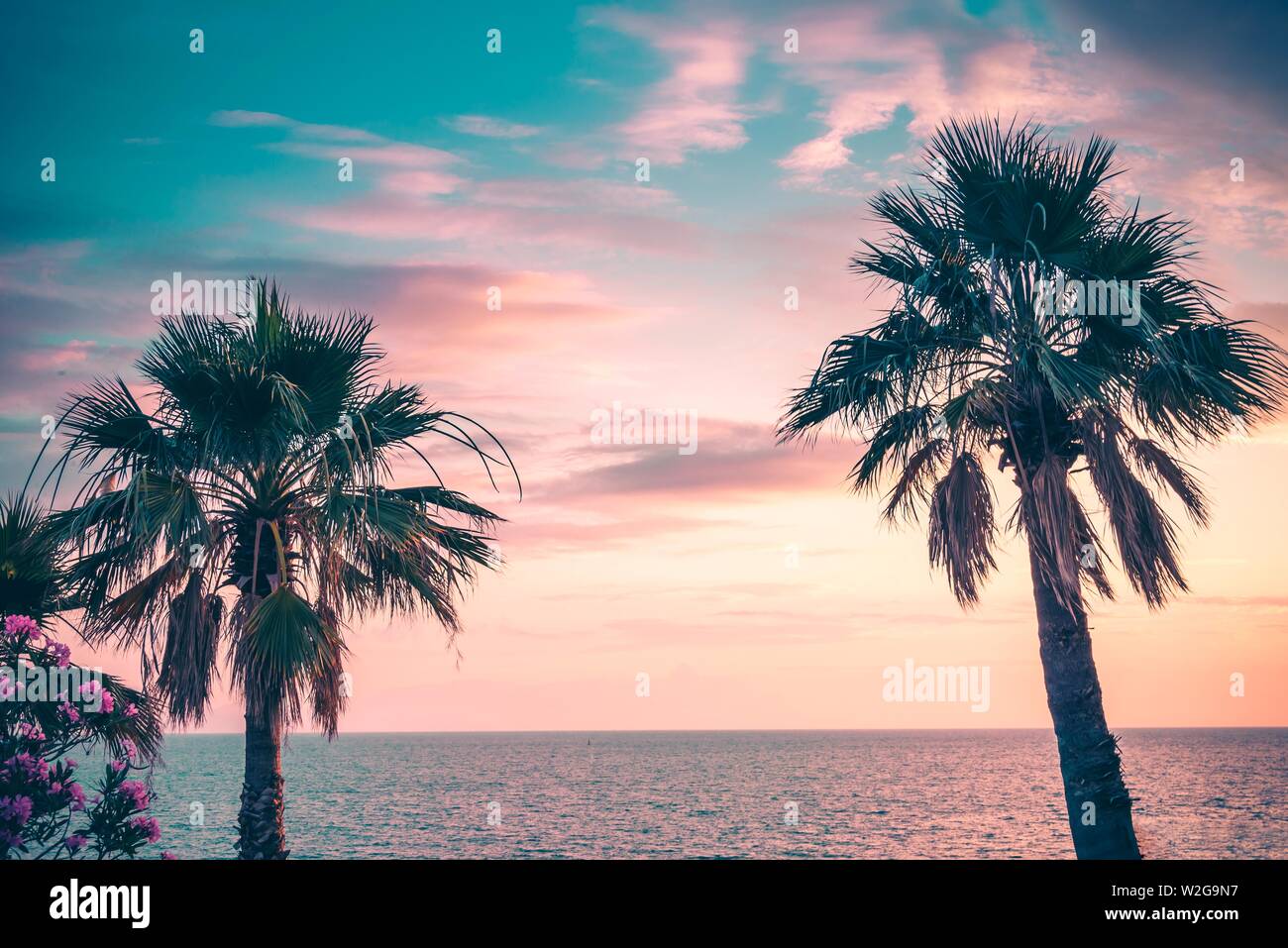 Palmen unter den Strahlen der bunten Sonnenuntergang. Stockfoto