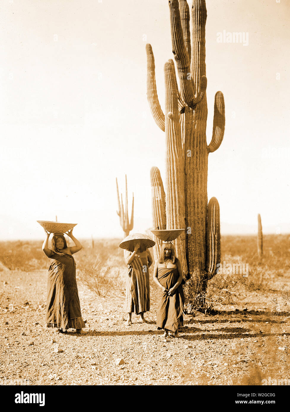 Edward S. Curits Native American Indians - Drei Maricopa indische Frauen mit Körben auf dem Kopf, von Saguaro Kakteen stehen, das Sammeln von Früchten. 1907 Stockfoto