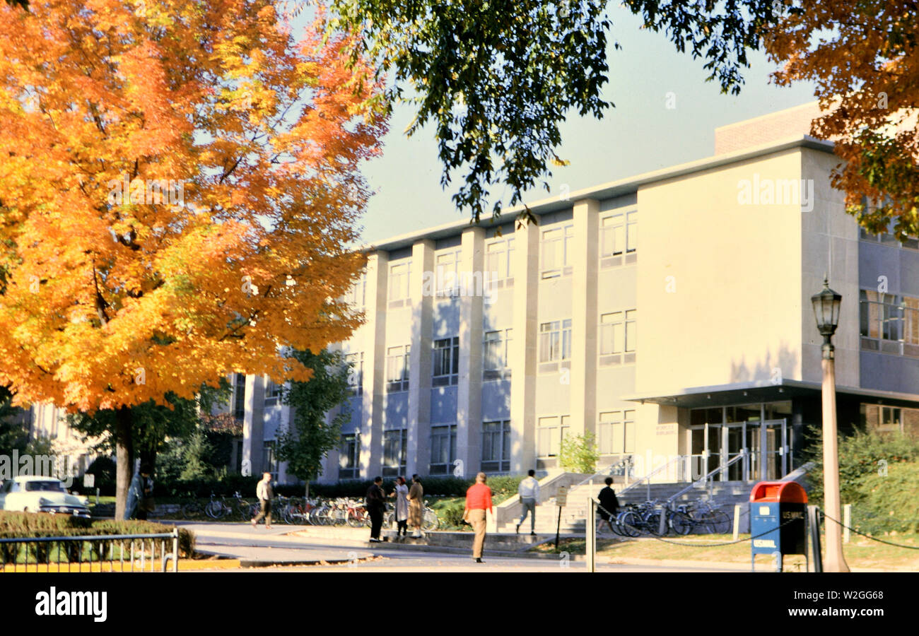 Junge Männer und Frauen (evtl. Studenten) zu Fuß in ein Gebäude im Herbst (U.S. Mailbox im Vordergrund) Ca. 1961 Stockfoto