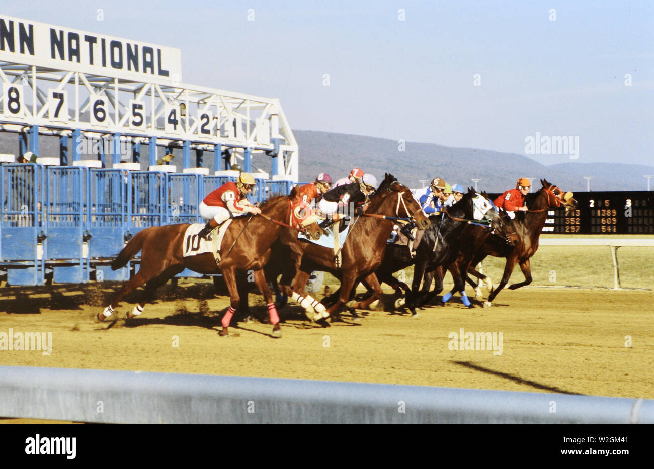 Rennpferde laufen an Penn National Horse Race Track in Grantsville in Pennsylvania Ca. 1978 Stockfoto