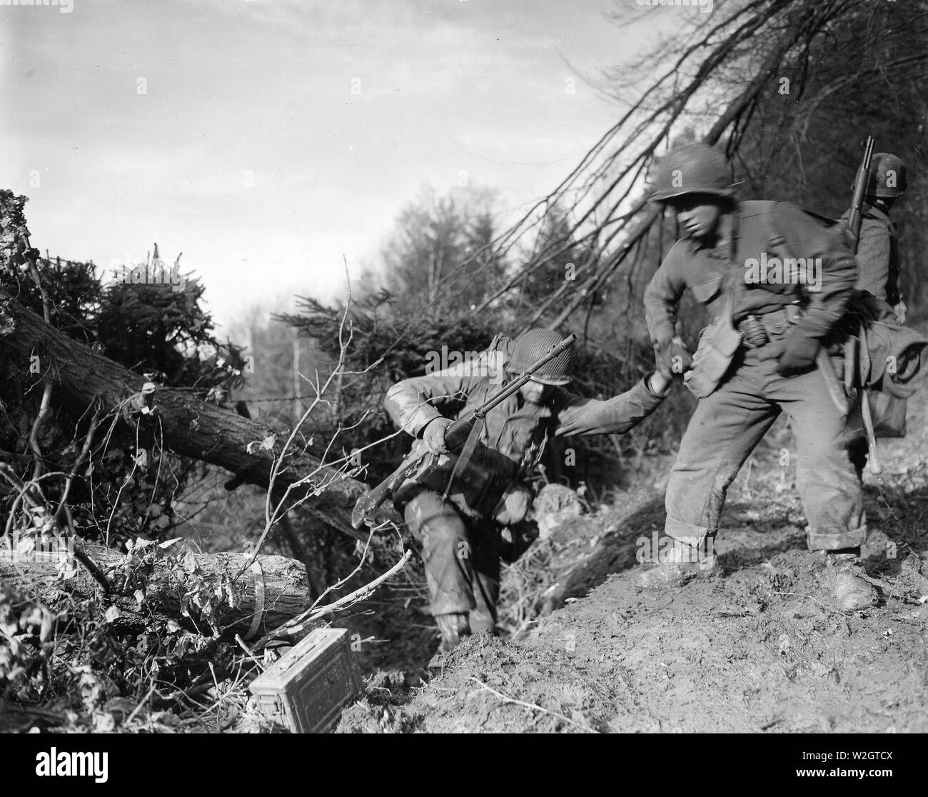 Pfc. Benny Barrow von St. Louis, Missouri gibt eine helfende Hand an einen Buddy, da Sie einen schwierigen Aufstieg in der Hurtgen Forest, südwestlich von Buren, Deutschland machen, während die Alliierten offensive. Unternehmen I, 3rd Battalion, 14th Regiment Infanterie Division, 4. Stockfoto