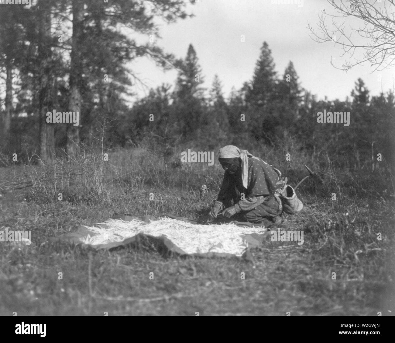Edward S. Curits Indianer - die Frau kniet auf dem Boden, Decke ausbreiten und bedeckt mit Wurzeln kann. 1909 oder 1910 Stockfoto Edward S. Curits Indianer - die Frau kniet auf dem Boden, Decke ausbreiten und bedeckt mit Wurzeln kann. 1909 oder 1910 Stockfoto