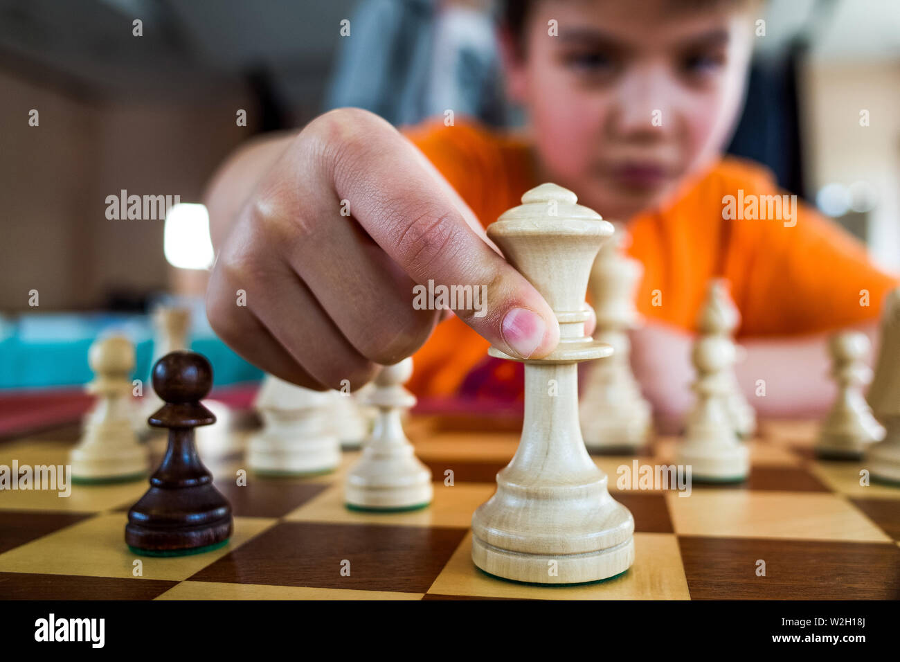 Junge Schachspieler in Paris, Frankreich. Stockfoto