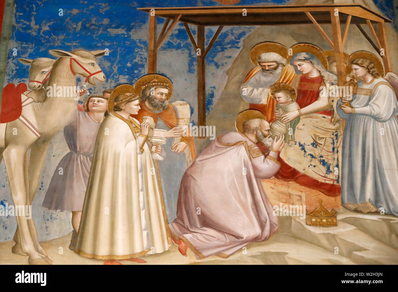 Der Scrovegni Kapelle. Fresko von Giotto, 14. Jahrhunderts. Er Nativituy Christi. Anbetung der Heiligen Drei Könige. Padua. Italien. Stockfoto