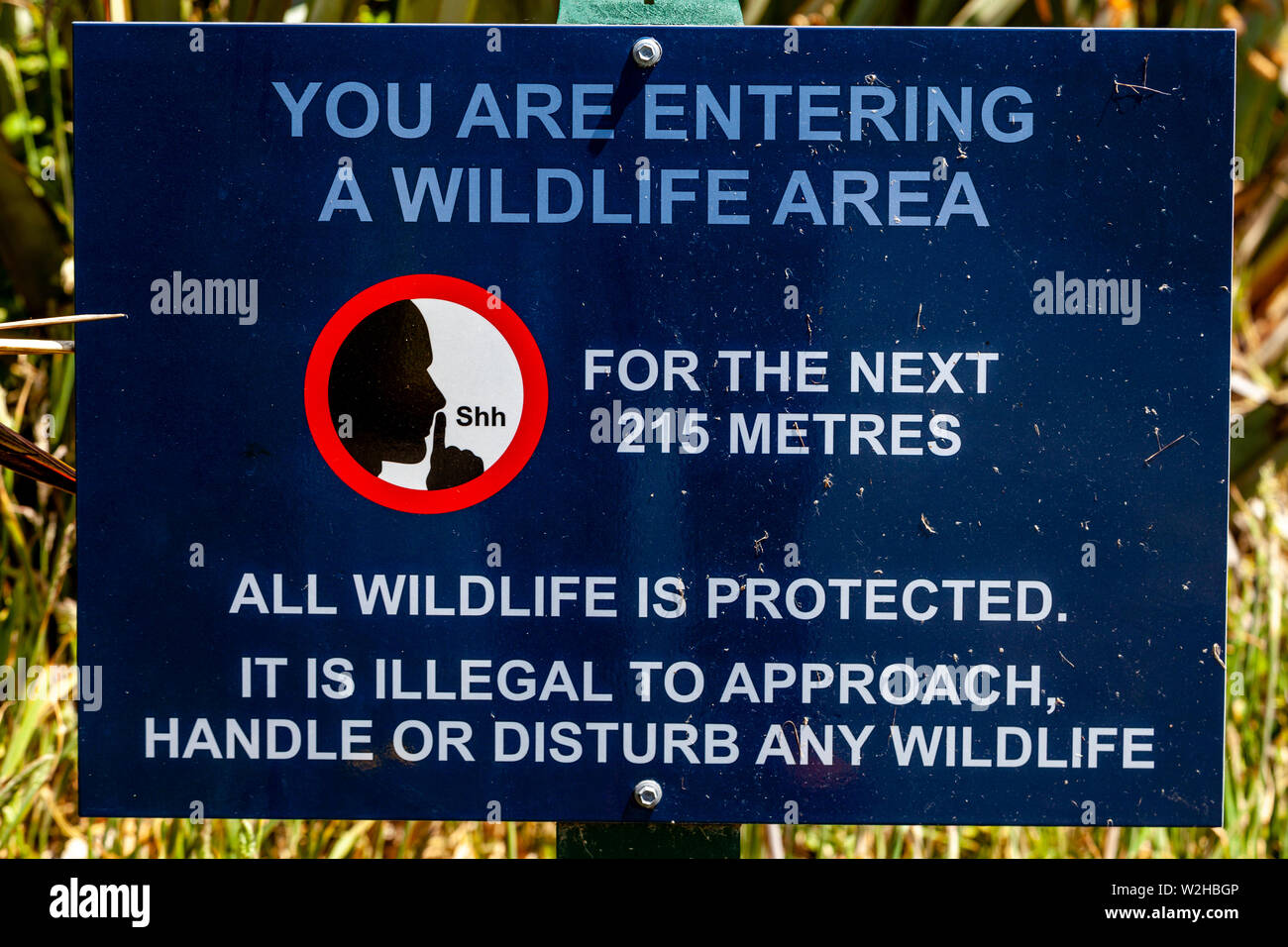 Ein Wildlife Warnschild an der Versteinerte Wald, Curio Bay, South Island, Neuseeland Stockfoto