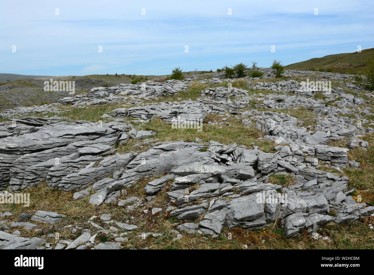 Kalkstein Pflaster grikes Ogof Ffynnon Ddu National Nature Reserve Brecon Beacons National Park Fforest Fawr UNESCO-Geopark Wales Cymru GROSSBRITANNIEN Stockfoto