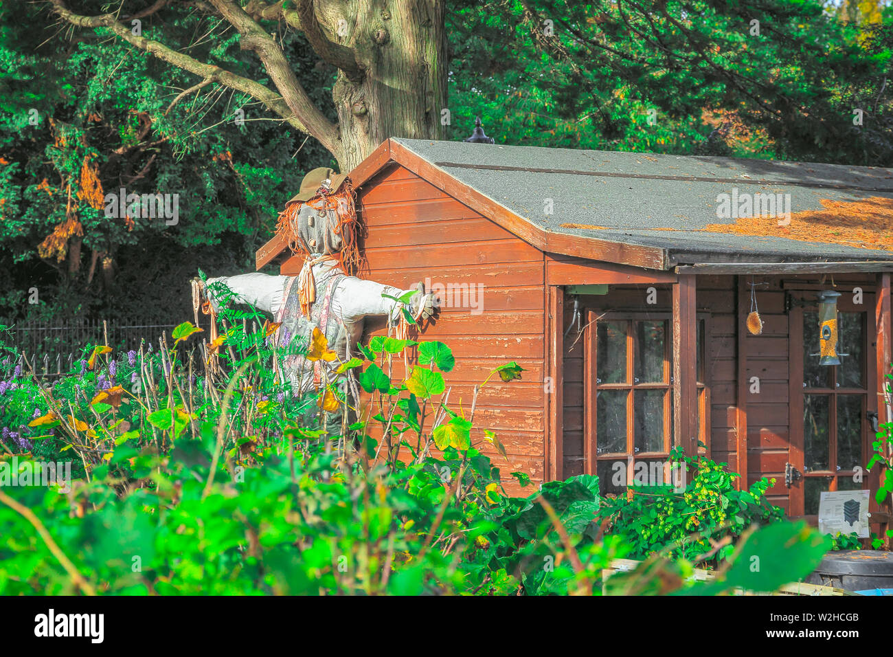 Vogelscheuche angezeigt außerhalb einer Hütte im Regent's Park Schrebergarten von London, ein Essen Garten mit einer Vielzahl von Obst und Gemüse Stockfoto