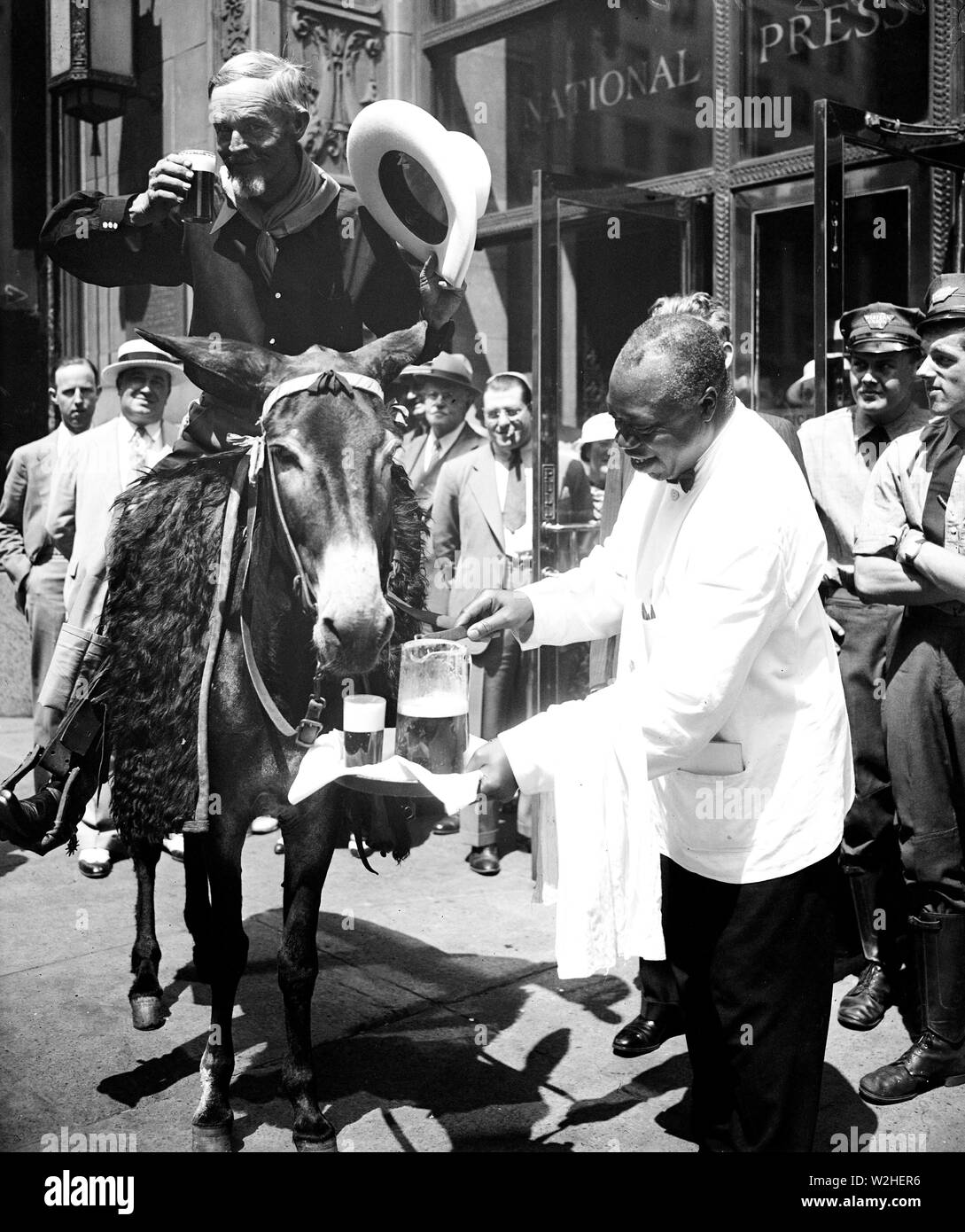 Mann auf Esel ('Texas Centennial Exhibition, Dallas, November 2010, 29') vor der nationalen Presse Building, Washington, D.C. Ca. 1936 Stockfoto