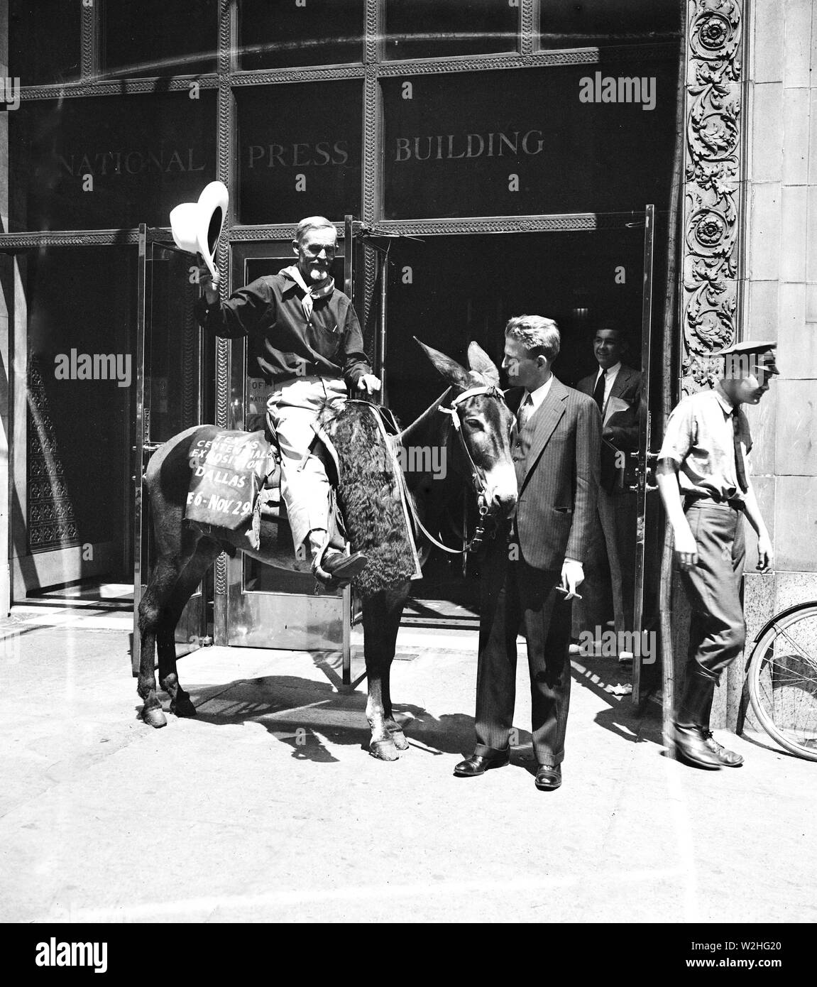Mann auf Esel ('Texas Centennial Exhibition, Dallas, November 2010, 29') vor der nationalen Presse Building, Washington, D.C. Ca. 1936 Stockfoto