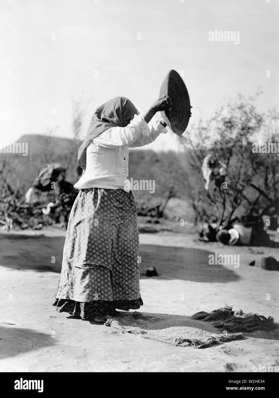 Edward S. Curtis Native American Indians - Papago indische Frau Reinigung Weizen (Worfeln Weizen) Ca. 1908 Stockfoto