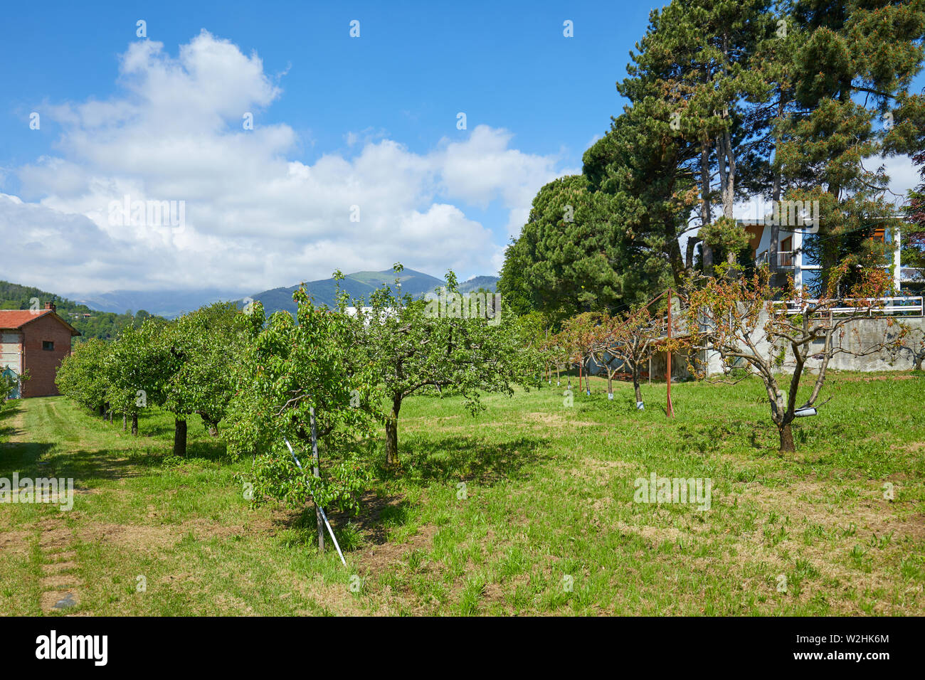 Orchard, grüne Wiese und Villa in sonniger Sommertag, Italien Stockfoto