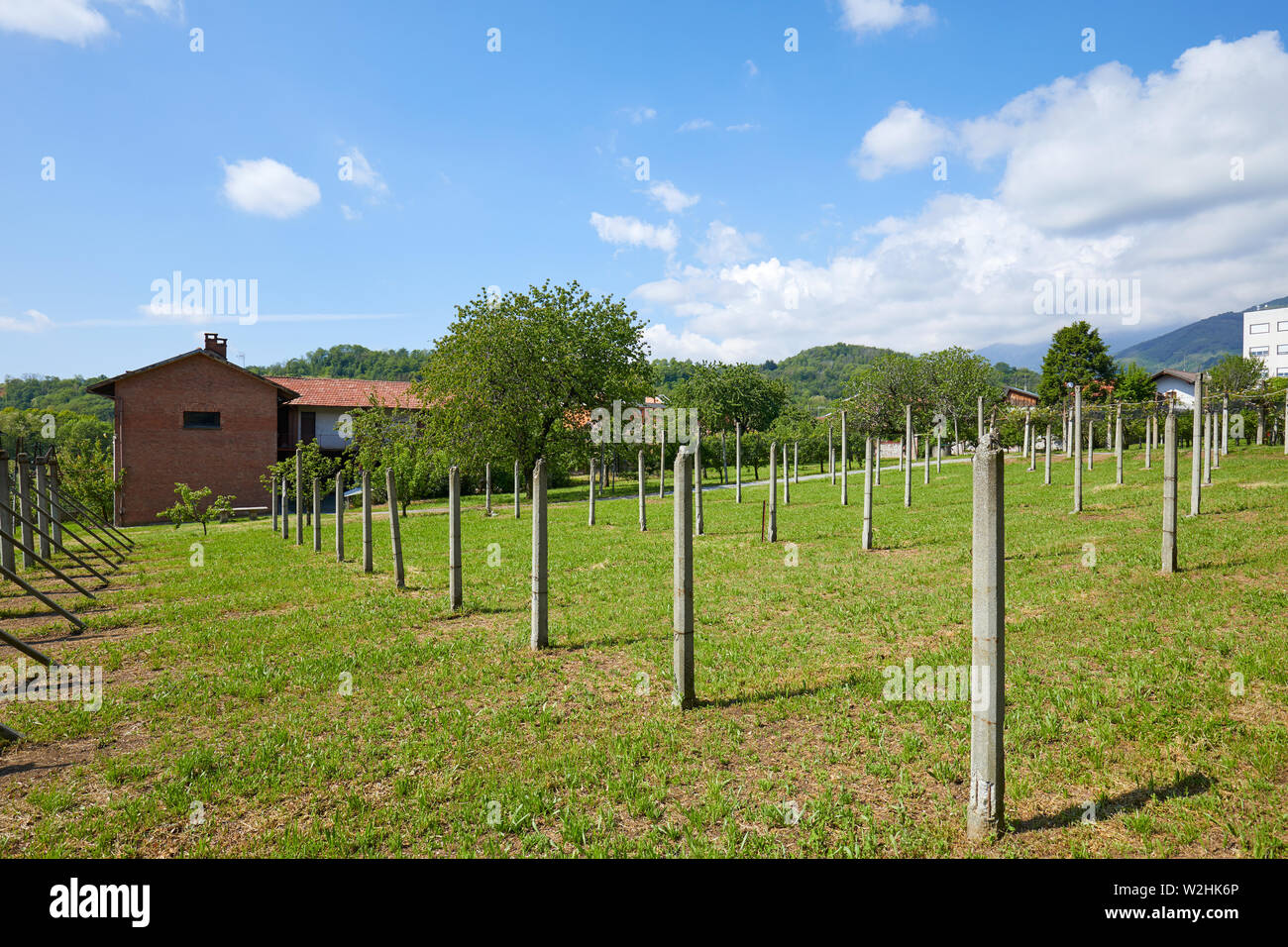 Grüne Gras Wiese und ländliche Haus in sonniger Sommertag, Italien Stockfoto